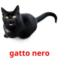 gatto nero Tarjetas didacticas