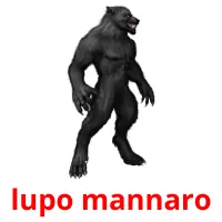 lupo mannaro Tarjetas didacticas