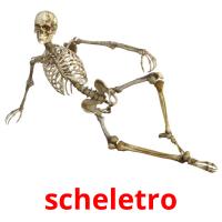 scheletro Tarjetas didacticas