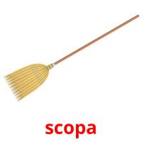 scopa picture flashcards