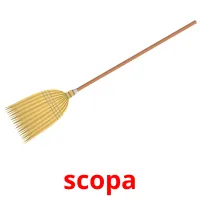 scopa Tarjetas didacticas