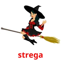 strega Tarjetas didacticas