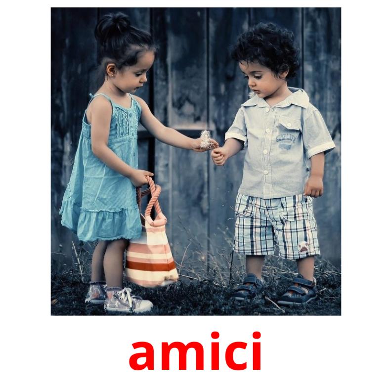 amici picture flashcards