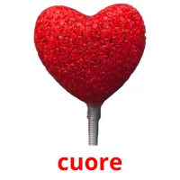 cuore flashcards illustrate