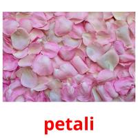 petali picture flashcards