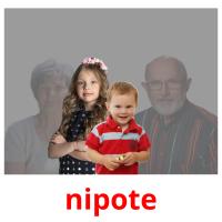 nipote picture flashcards