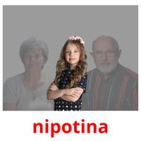 nipotina picture flashcards