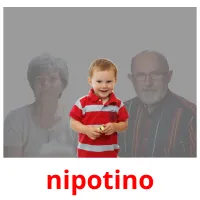 nipotino flashcards illustrate