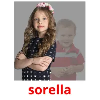 sorella flashcards illustrate