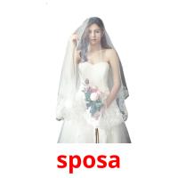 sposa card for translate
