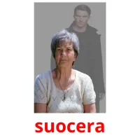 suocera flashcards illustrate