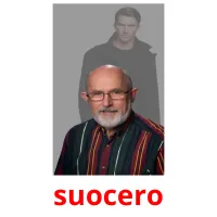 suocero flashcards illustrate