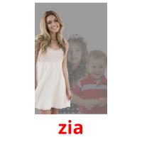 zia picture flashcards