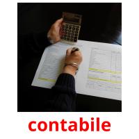 contabile picture flashcards