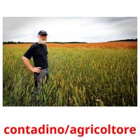 contadino/agricoltore picture flashcards