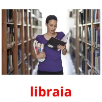 libraia flashcards illustrate