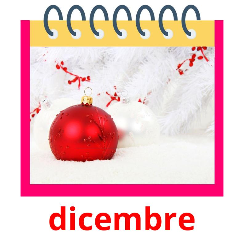 dicembre picture flashcards