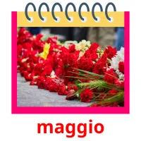 maggio flashcards illustrate