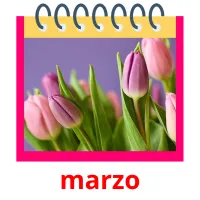 marzo flashcards illustrate