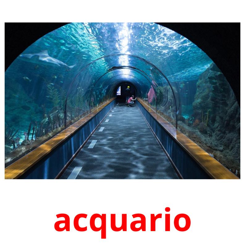 acquario Tarjetas didacticas