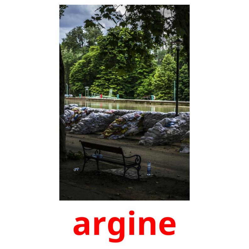 argine picture flashcards