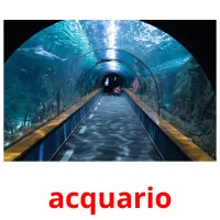 acquario flashcards illustrate