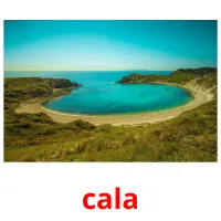 cala flashcards illustrate