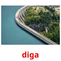 diga card for translate