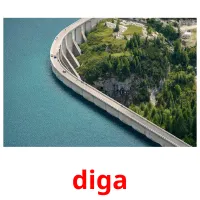 diga flashcards illustrate