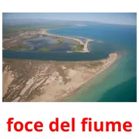 foce del fiume flashcards illustrate