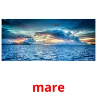 mare flashcards illustrate