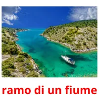 ramo di un fiume flashcards illustrate