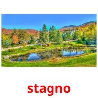 stagno flashcards illustrate