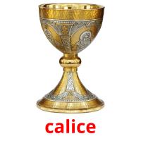 calice picture flashcards