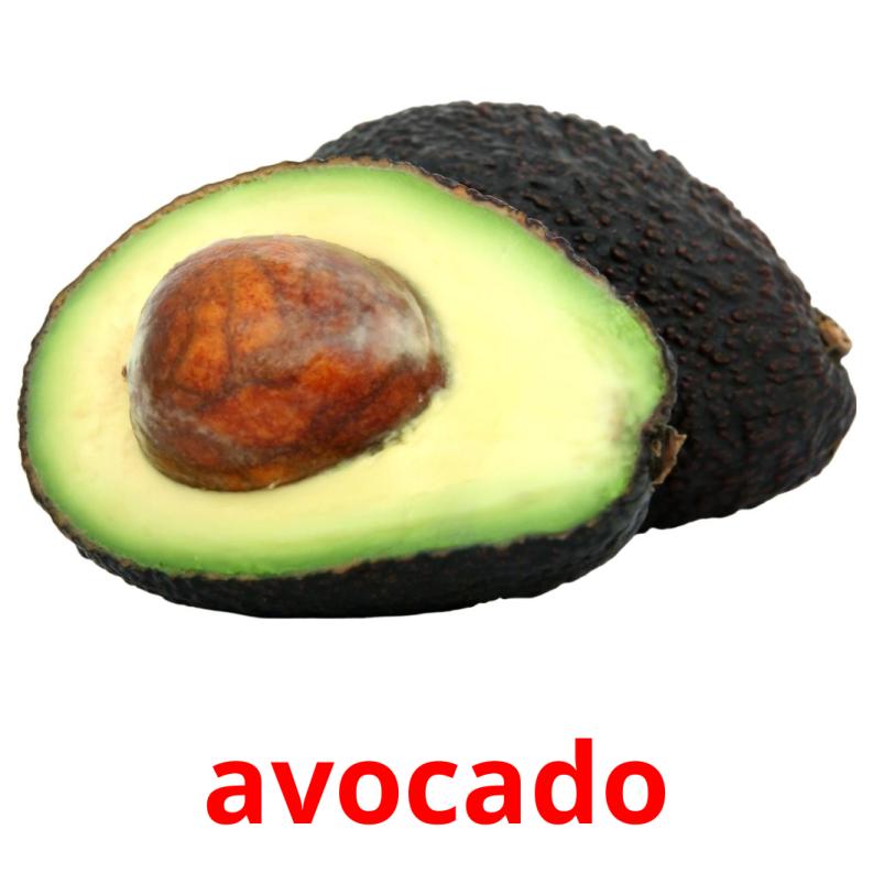 avocado picture flashcards