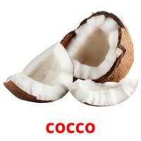 cocco карточки энциклопедических знаний