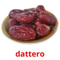 dattero picture flashcards