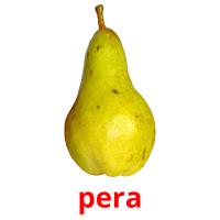 pera card for translate