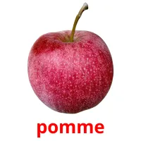 pomme Bildkarteikarten