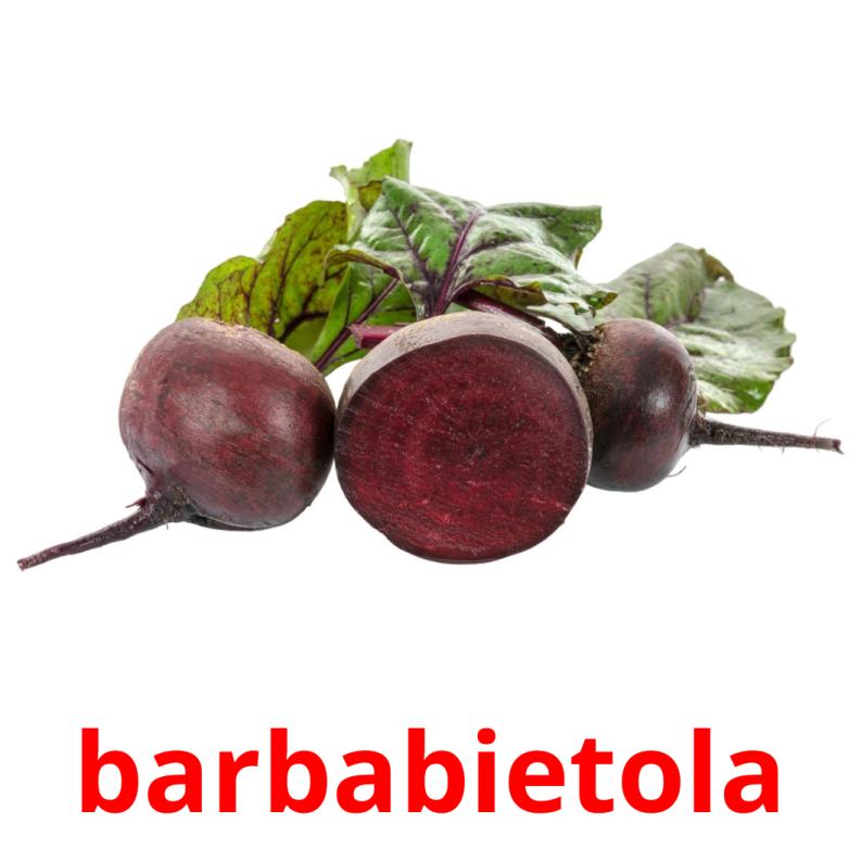 barbabietola picture flashcards
