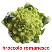 broccolo romanesco flashcards illustrate