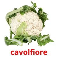 cavolfiore cartes flash