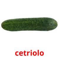 cetriolo picture flashcards