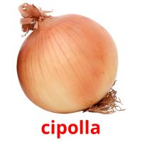 cipolla flashcards illustrate