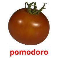 pomodoro picture flashcards