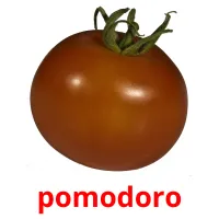 pomodoro cartes flash