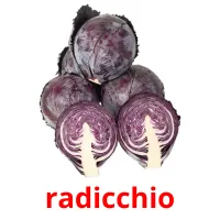 radicchio cartes flash