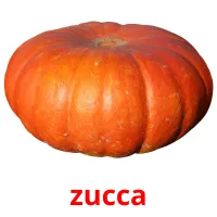 zucca cartes flash