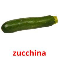 zucchina flashcards illustrate