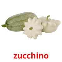 zucchino flashcards illustrate